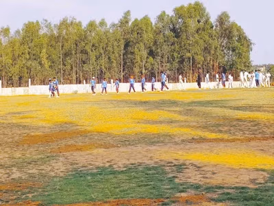 NH sports cricket ground - Whitefield,Bengaluru-560067